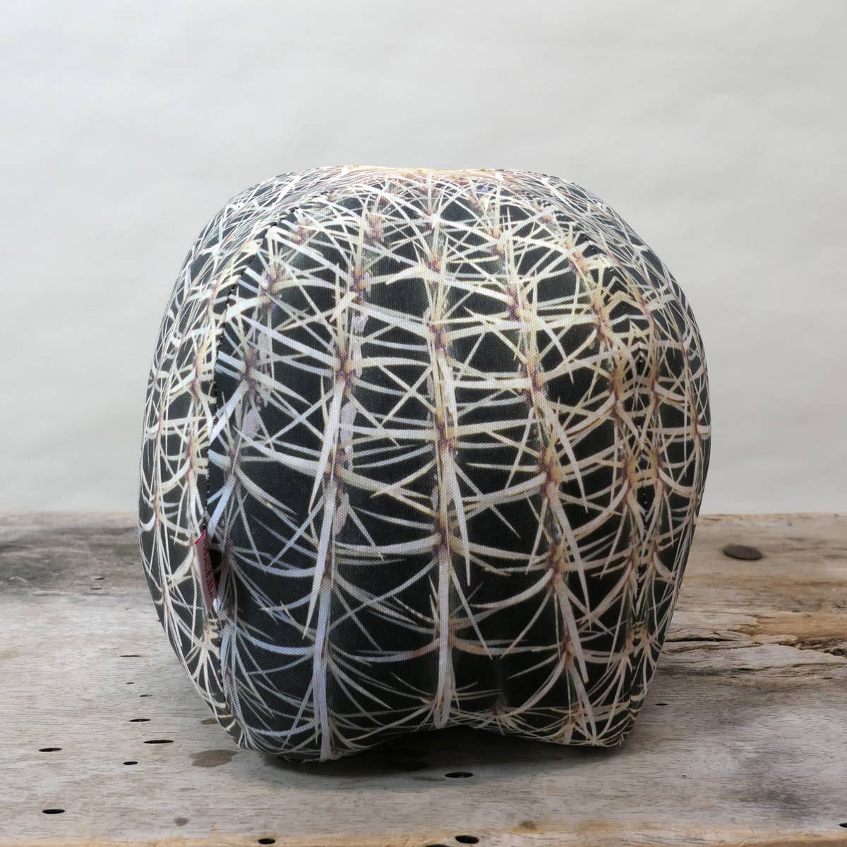 Cactuspillow1