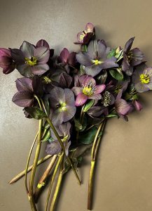 Beautiful loose organic florals with hellebore for Connecticut wedding in Stonington.