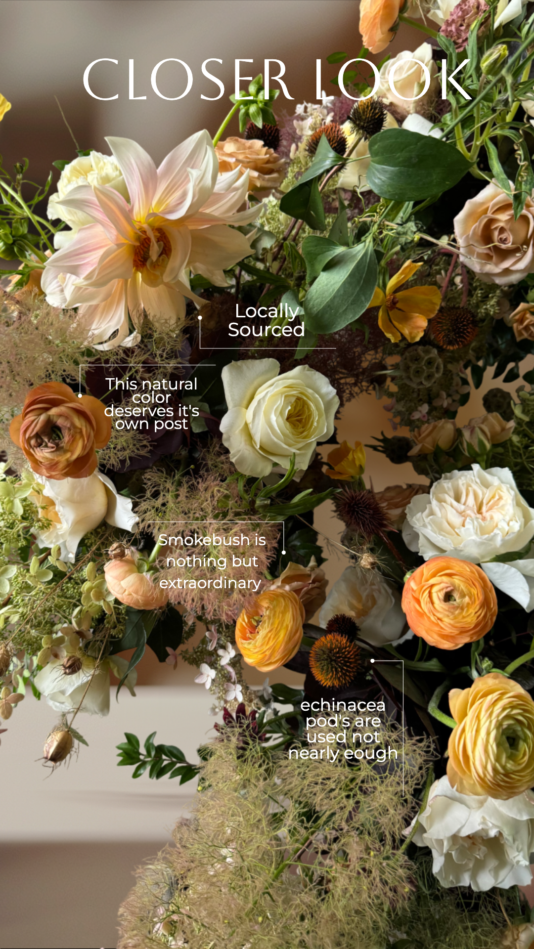 Floral arrangement ingredients featuring ranunculus, smokebuch, roses, and mocha-toned flowers and dahlia.
